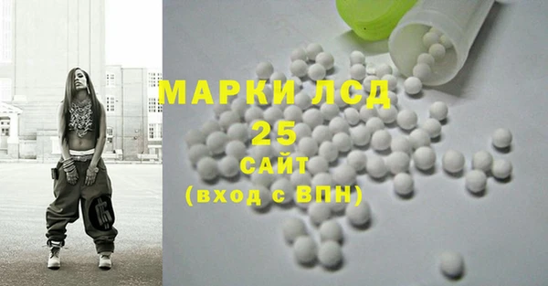 PSILOCYBIN Майский