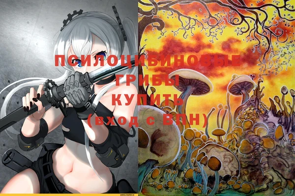 PSILOCYBIN Майский