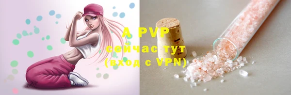 PSILOCYBIN Майский